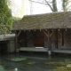 Champignelles-lavoir 2 dans hameau Louesmes