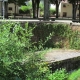 Savigny les Beaune-lavoir 1