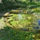 Lainsecq dans l'Yonne-lavoir 4 dans le hameau Le Jarloy par Micheline et Paul