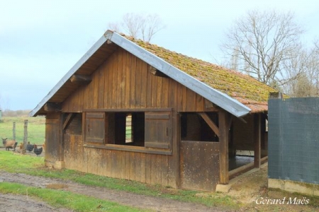 Reneve en Cote d'Or-lavoir 3 par Gerard Maes