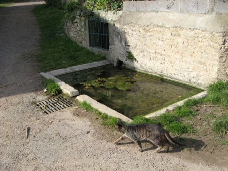 Saizy-lavoir 3 dans hameau Néron