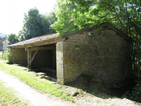Poissons-lavoir 2