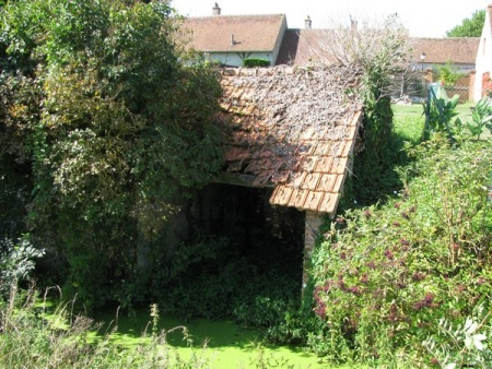 Saint Benoit sur Loire-lavoir 2