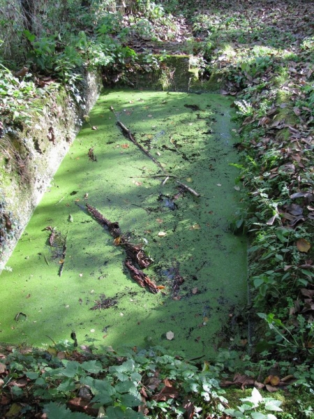 La Collancelle-lavoir 1 dans hameau Fussy