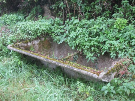 Anost-lavoir 6 dans hameau Le Mont