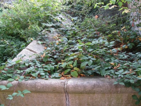 Buxy-lavoir 4 dans hameau Daveney