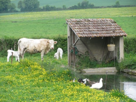 Beaumont Sardolles-lavoir 2 dans hameau Sardolles