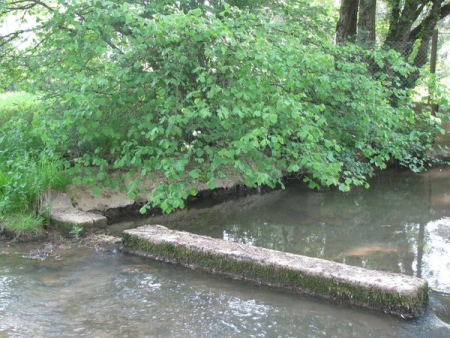 Montigny aux Amognes-lavoir 4 dans hameau Meulot