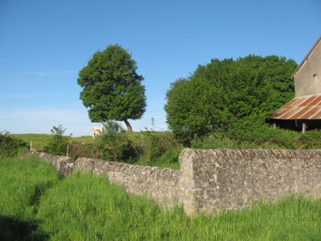 Alluy-lavoir 1 dans le bourg