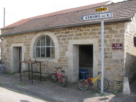 Saint Broingt les Fossés-lavoir 3