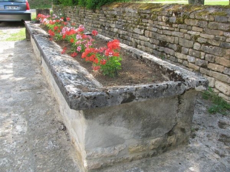 Saint Broingt les Fossés-lavoir 4