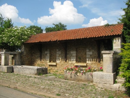 Saint Broingt les Fossés-lavoir 5