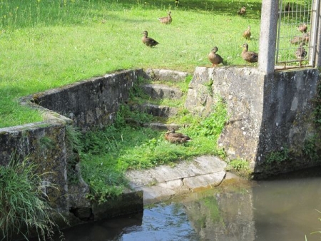 Etampes-lavoir 21