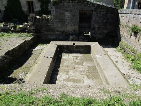 Terre Natale-lavoir 1 dans hameau Chezeaux