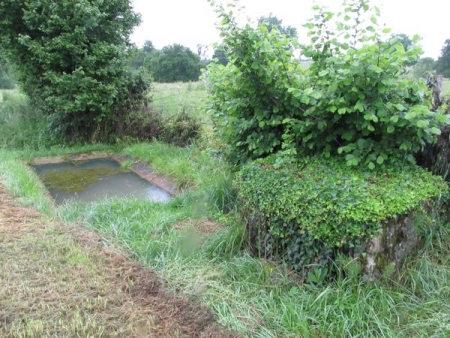 Saint Jean de Trézy-lavoir 3 dans hameau Les Plantes