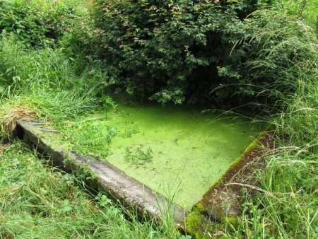 Savianges-lavoir 2 dans hameau Quintry