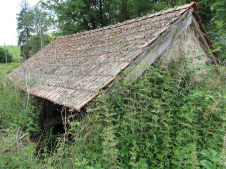 Alligny en Morvan-lavoir 5 dans hameau Le Grand Bazolles