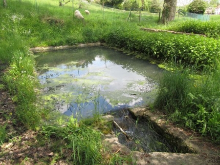 Ouzouer sur Trézée