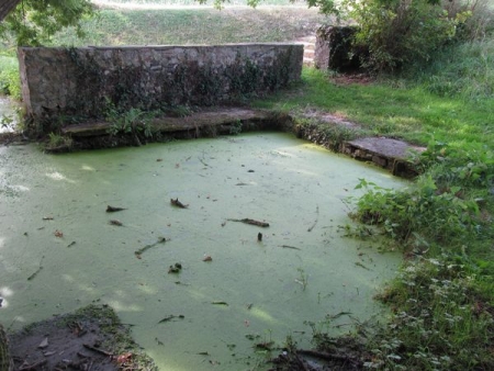 Saint Martin du Limet