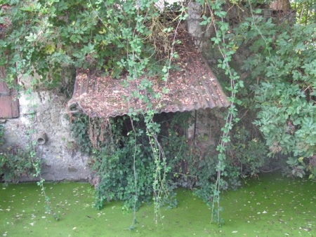 Longué Jumelles-lavoir 15