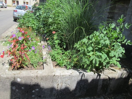 Boult-lavoir 5